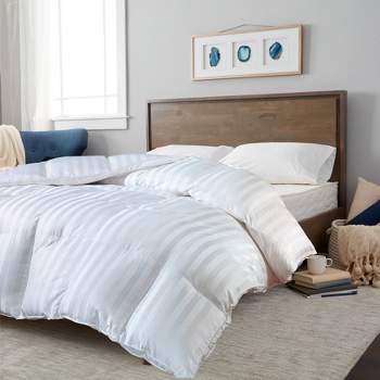 100% Cotton Duraloft Down Alternative Comforter - Blue Ridge Home Fashions