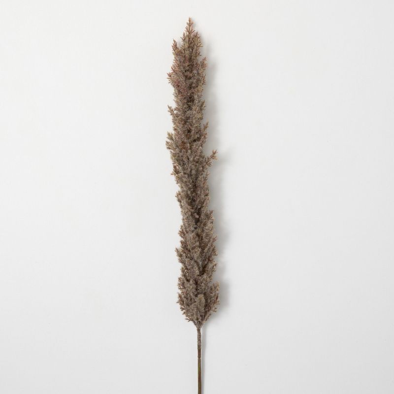 Sullivans Artificial Dried Tall Plume 43"H, 1 of 3
