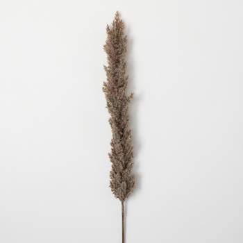Sullivans Artificial Dried Tall Plume 43"H