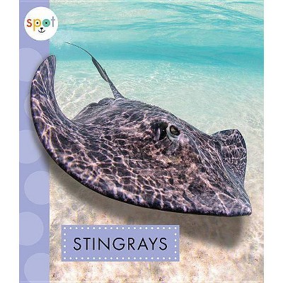 Stingrays - (Spot Ocean Animals) by  Mari C Schuh (Paperback)