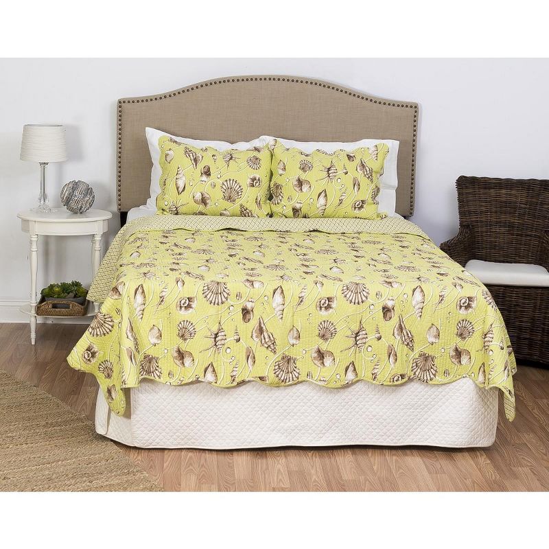 C&F Home Calypso Shells Cotton Quilt Set  - Reversible and Machine Washable, 3 of 7
