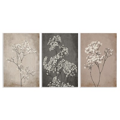 Stupell Industries Botanical Baby's Breath Herbs, 10" x 15"