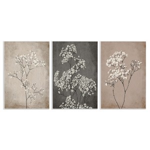 Stupell Industries Botanical Baby's Breath Herbs, 10" x 15" - 1 of 4