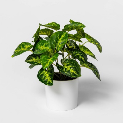 Shop 12" x 10" Artificial Arrowhead Plant Arrangement in Pot White - Project 62 from Target on Openhaus