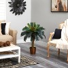 HomeStock  3 ft. Artificial Palm Tree in Pot for Indoor/Outdoor - 4 of 4