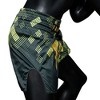 Fairtex BS1931 Heart of Gold Slim Cut Muay Thai Boxing Shorts - 4 of 4