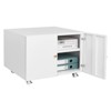 Metal Printer Cabinet with File Storage, Mobile 3D Printer Stand with Doors and Adjustable Shelf, Under Desk File Cabinet for Home Office - 3 of 4