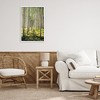 Stupell Industries Small And Tall Birch Forest Framed Giclee Art - 3 of 4