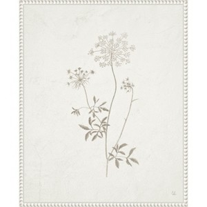 Amanti Art Plants from the Meadow III by Sarah Adams Canvas Wall Art Print Framed 16 x 20-in. - 1 of 4