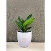 Tierra Garden 6.3" Matte Ceramic Basel Fashion Indoor Pot - 4 of 4
