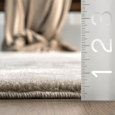 Beige Rectangular Washable Shag Area Rug