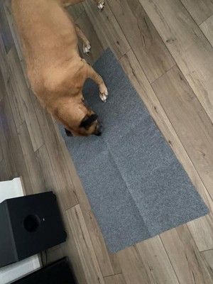 Guest review image 2 of 5, zoom in