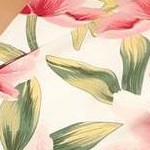 white/white pink