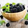 Bushel and Berry Blackberry 'Baby Cakes' 1pc Seasonal U.S.D.A. Hardiness Zones 4-8 National Plant Network 2.5qt: Thornless, Patio-Friendly - 3 of 4