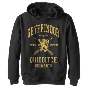 Boy's Harry Potter Gryffindor Quidditch Gold Team Seeker Pull Over Hoodie - 1 of 4