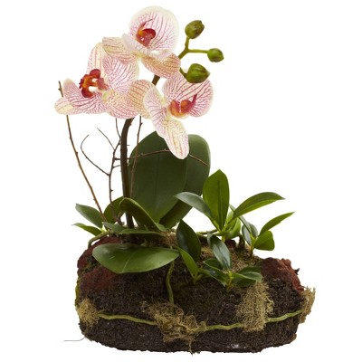 13" White and Purple Potted Orchid Tabletop Arrangement