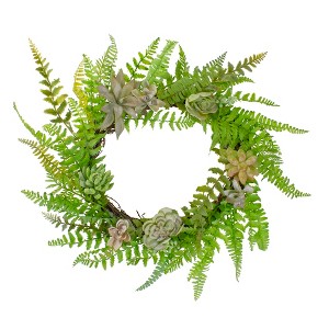 Northlight Succulents and Foliage Artificial Spring Twig Wreath, Green - 22-Inch - 1 of 4