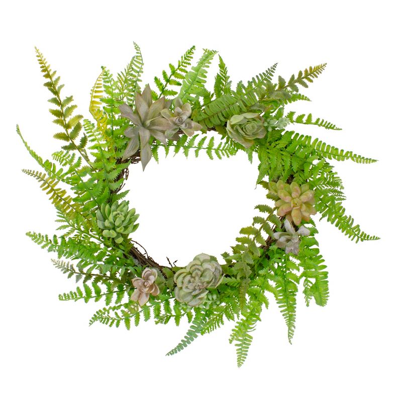 Northlight Succulents and Foliage Artificial Spring Twig Wreath, Green - 22-Inch, 1 of 6