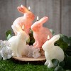 4.75"H Vance Kitira Pink Bunny Candle - Set of 2, Pink ,Scentless, Clean-Burning, Environmental Friendly - 4 of 4