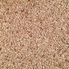 Grain Place Foods 25 lb Organic Rye Non-GMO - Pack of 2 - 3 of 4