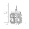 Black Bow Jewelry Sterling Silver, Varsity Collection, Small D/C Pendant, Number 55 - 3 of 4