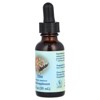 Flower Essence Services Elm, Flower Essence, 1 fl oz (30 ml) - 3 of 3