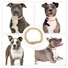 Unique Bargains Durable Rhinestone Dog Chain 1 Pc - 3 of 4