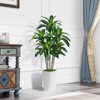 Aoibox Artificial Dracaena Tree with White Planter - Faux Tropical Yucca Floor Plant in Pot - Silk Tree for Home Office Living Room Decor Indoor - 2 of 4