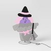 2pc Incandescent Reversible Witch Tinsel Character Novelty Silhouette Lights Clear - Hyde and EEK! Boutique™ - 4 of 4