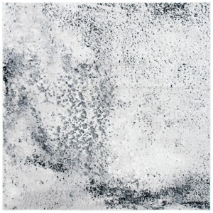 Skyler SKY163 Power Loomed Indoor Rugs - Safavieh - 1 of 4