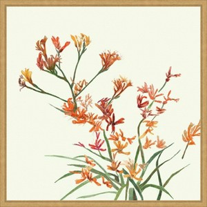 Amanti Art Kangaroo Paw 1 by Elan Studios Canvas Wall Art Print Framed - 1 of 4