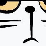 clear push pins bundle