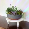 The HC Companies 8 Inch Round Capri Bowl Decorative Indoor Flower Succulent Planter Pot with Drain Plug Hole, Faux Concrete with Copper Base (5 Pack) - 4 of 4