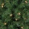 Northlight 6' x 20" Pre-Lit Traditional Green Pine Pencil Artificial Christmas Tree - Clear Lights - 3 of 4