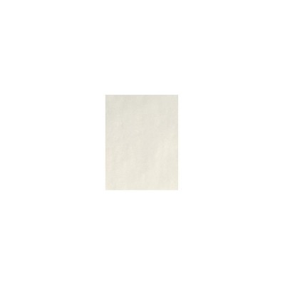 8.5x11 50-sheet Bright White Cardstock 65 Lb- Astrodesigns : Target