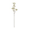 Melrose Berry Pod Spray (Set of 12) - 2 of 3