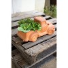 Terracotta Truck Planter 8"H, Handcrafted Orange Ceramic Vintage-Style Accent, Set of 2 By Kalalou - 2 of 3