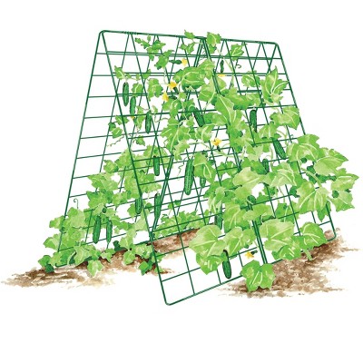 Deluxe Cucumber Trellis