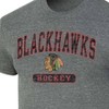 NHL Chicago Blackhawks Men's Gray Tri-Blend T-Shirt - 3 of 3