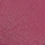 raspberry