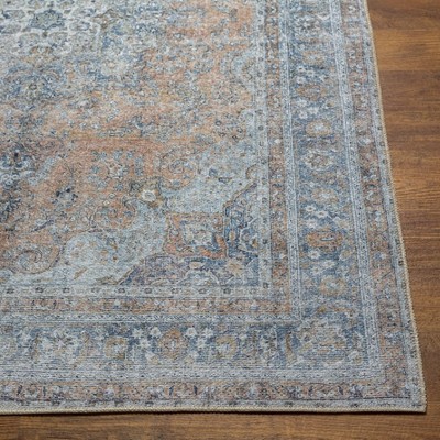 Tahmis Blue and Beige Flat Woven Washable Area Rug 5' x 7'