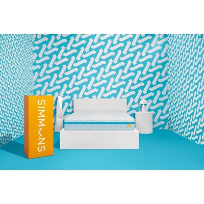 Simmons Charli & Dixie 10" Memory Foam Mattress - Twin