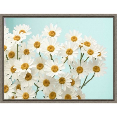 Amanti Art Daisy Love II by Judy Stalus Canvas Wall Art Print Framed 24 x 18-in.