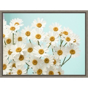 Amanti Art Daisy Love II by Judy Stalus Canvas Wall Art Print Framed 24 x 18-in. - 1 of 4