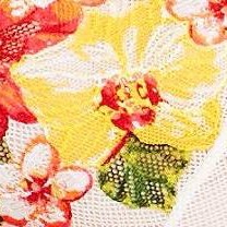 tropical flowers c01