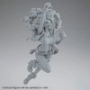 One Piece Jewelry Bonney (The Most Free Future) King of Artist Statue - 4 of 4