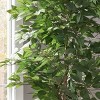 TopComfy Artificial Trees 150cm Artificial Ficus Tree Compact Ficus Tree Fake Ficus Plant Small Artificial Tree for Home, Green, 31.5"*31.5"*59" - 3 of 4