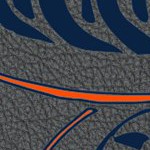 denver broncos