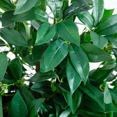 57-inch Green Bay Leaf Cone Topiary Tree in Gray Clay Planter