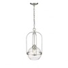 Acclaim Lighting Devonshire 1 - Light Pendant in  Brushed Nickel - 3 of 4